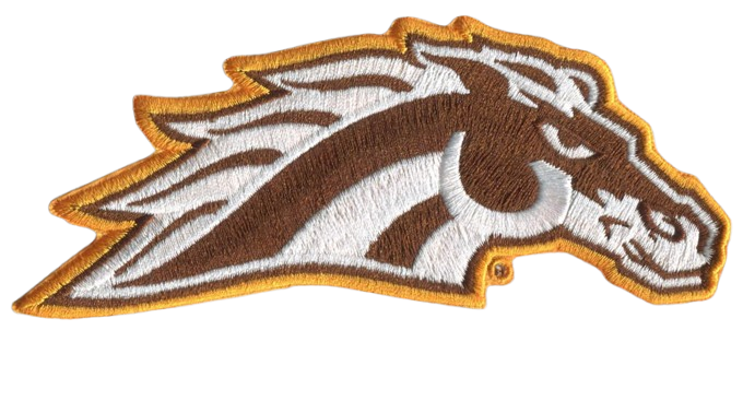 Western Michigan Primary Mark 5.5” Wide x 2.25”H, Velcro Hook Patch (Not an Iron-on Patch)